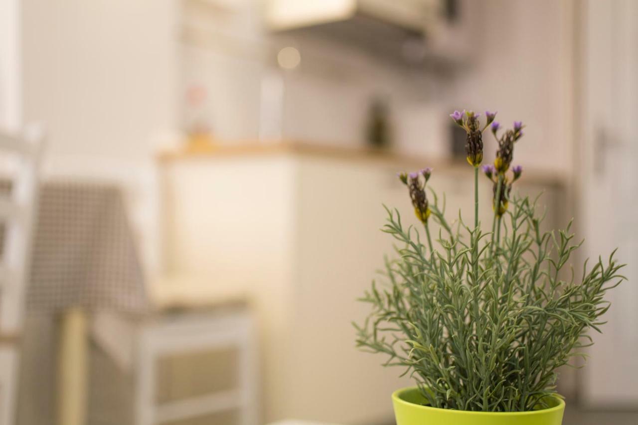 Apartments Casa Vecchia روفينج المظهر الخارجي الصورة